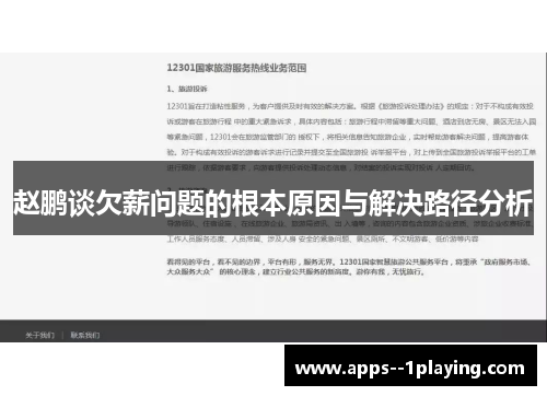 赵鹏谈欠薪问题的根本原因与解决路径分析 赵鹏谈欠薪问题的根本原因与解决路径分析
